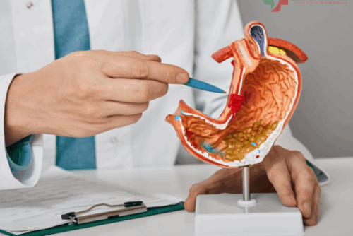 Gastroenterology