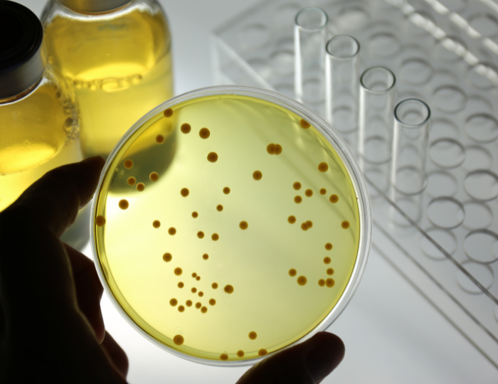 microbiology