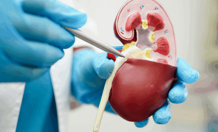 urology