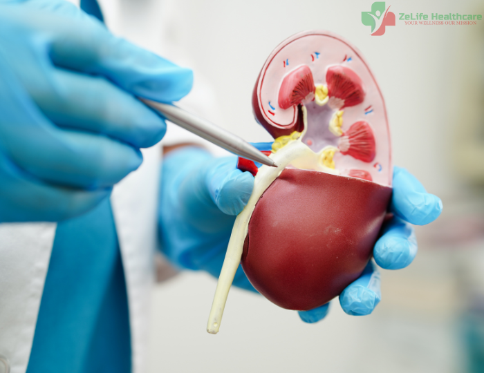 urology
